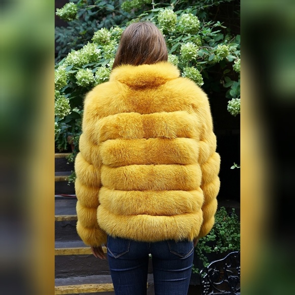 Yellow Fox Jacket - Picture 4 of 5
